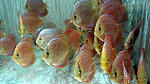 IMG 6279