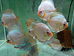 IMG 6607