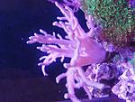 IMG 20210527 161541