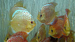 IMG 6418