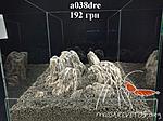 a038dre 02 01