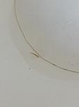 IMG 20210413 105614