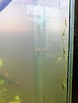 IMG 20210413 094031
