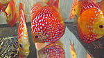 IMG 6376