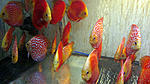 IMG 6391