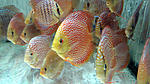 IMG 6282