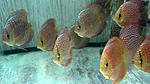 IMG 6271