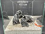 a016chern 02 01