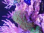 IMG 20210527 161524
