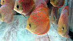 IMG 6269