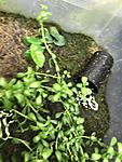 image (1)