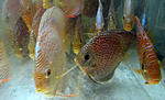 IMG 6791