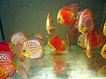 IMG 6736