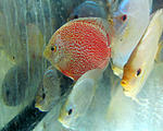 IMG 6787