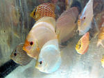IMG 6786