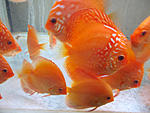 IMG 6884