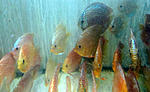 IMG 6788