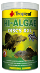 hi algae