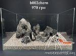 b002chern 02 01