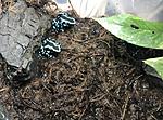 IMG 7111