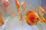 IMG 6861