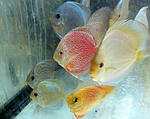 IMG 6793