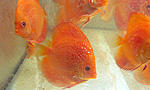 IMG 6862