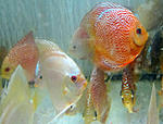 IMG 6795