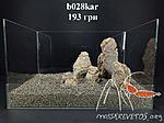 b028kar 02 01