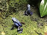 image (3)