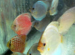 IMG 6789