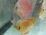 IMG 6792