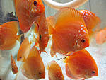 IMG 6882