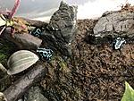 IMG 7113