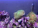 IMG 7992