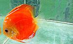 IMG 7880