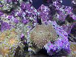 IMG 7991