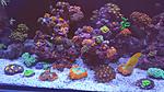 IMG 20220131 WA0016