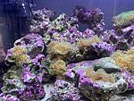 IMG 7983