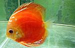 IMG 7897