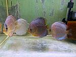 IMG 8191