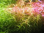 IMG 0308 1