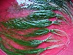 DSC01820