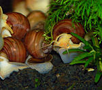 �������� ����� ������� ���������