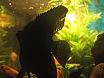 IMG 0240