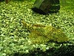 IMG 4679