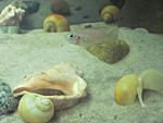IMG 0584