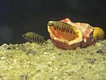 IMG 0492