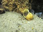 IMG 0573