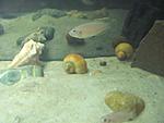 IMG 0588